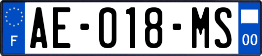 AE-018-MS