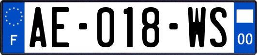 AE-018-WS