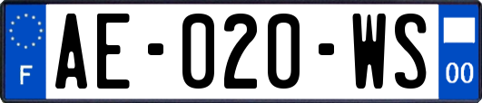 AE-020-WS