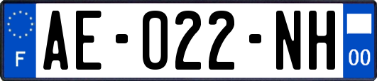 AE-022-NH