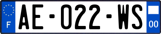 AE-022-WS
