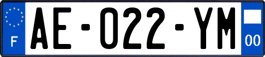 AE-022-YM