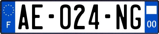 AE-024-NG