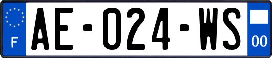 AE-024-WS