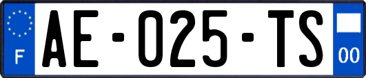 AE-025-TS