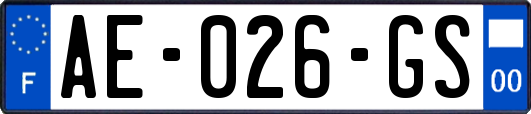 AE-026-GS
