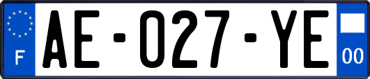 AE-027-YE