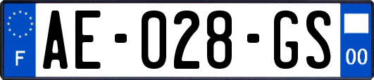 AE-028-GS