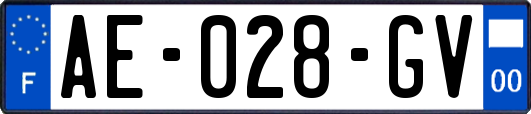 AE-028-GV