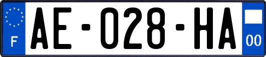 AE-028-HA