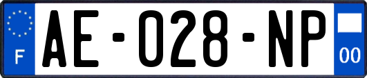 AE-028-NP