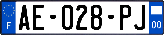 AE-028-PJ