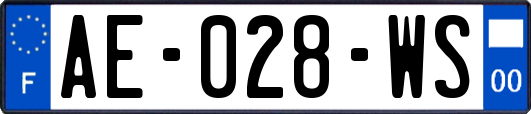 AE-028-WS