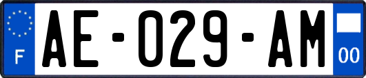 AE-029-AM