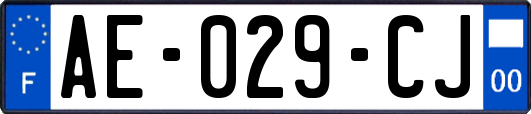 AE-029-CJ