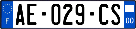 AE-029-CS