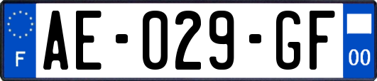 AE-029-GF