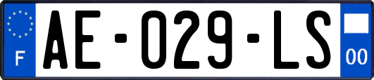AE-029-LS