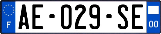 AE-029-SE