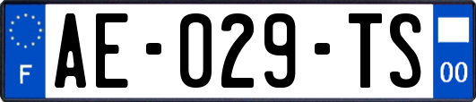 AE-029-TS