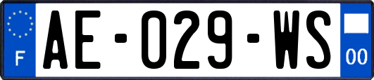 AE-029-WS