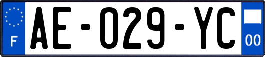 AE-029-YC