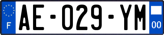 AE-029-YM