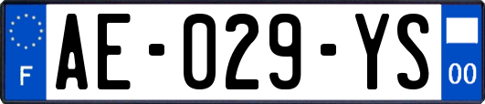 AE-029-YS