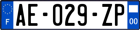 AE-029-ZP