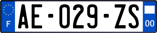 AE-029-ZS