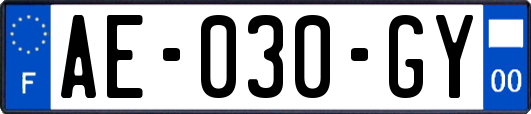 AE-030-GY