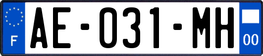 AE-031-MH