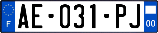 AE-031-PJ