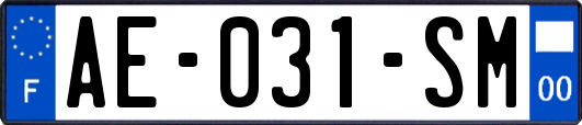 AE-031-SM