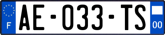 AE-033-TS