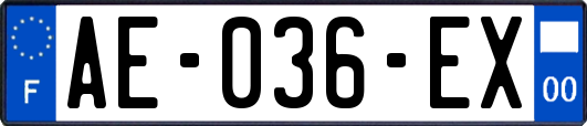 AE-036-EX