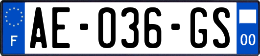 AE-036-GS