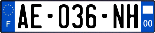 AE-036-NH