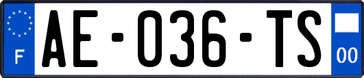 AE-036-TS