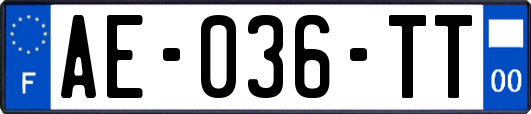 AE-036-TT