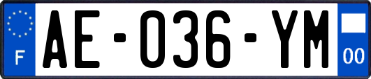 AE-036-YM