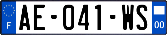 AE-041-WS