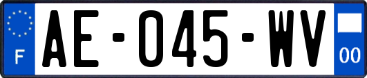 AE-045-WV
