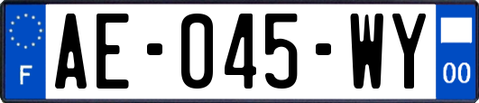 AE-045-WY