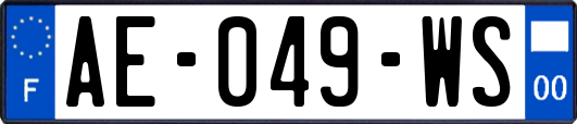 AE-049-WS