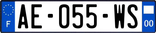 AE-055-WS