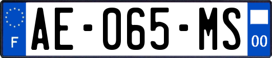 AE-065-MS