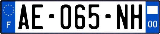 AE-065-NH
