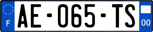 AE-065-TS