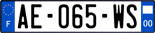 AE-065-WS